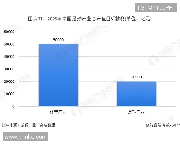 足球职业联盟发展动态与未来展望分析报告